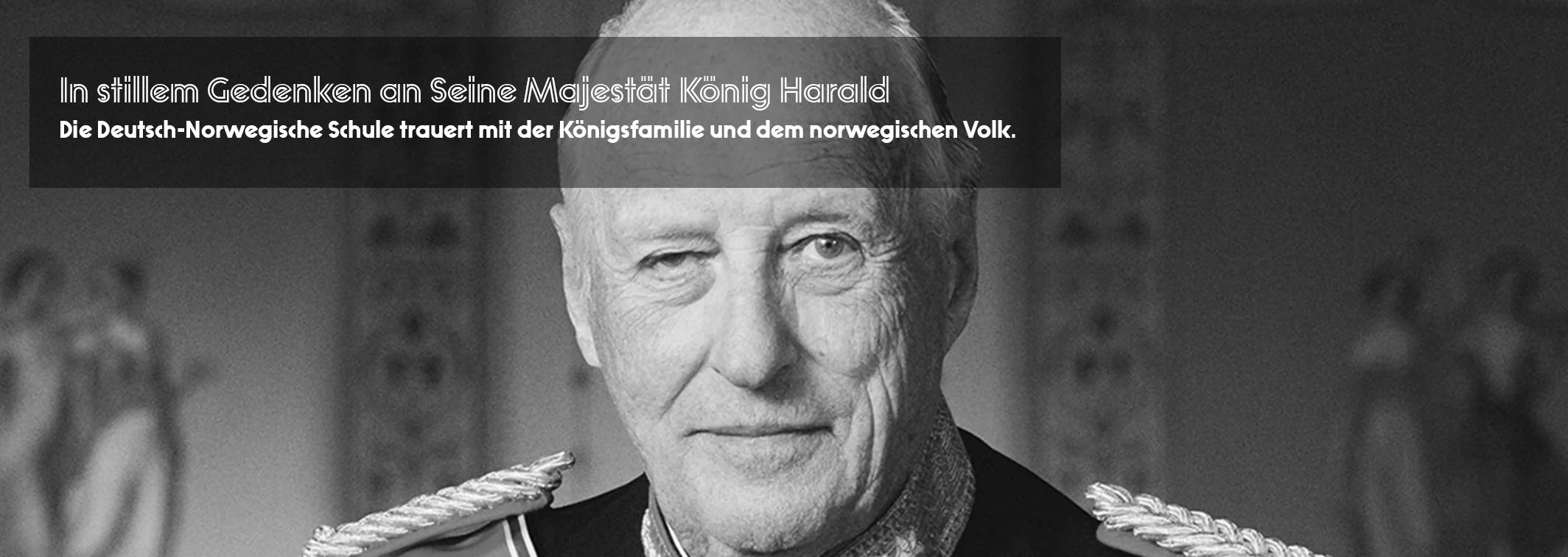 2608_Kong-Harald_DE.jpg