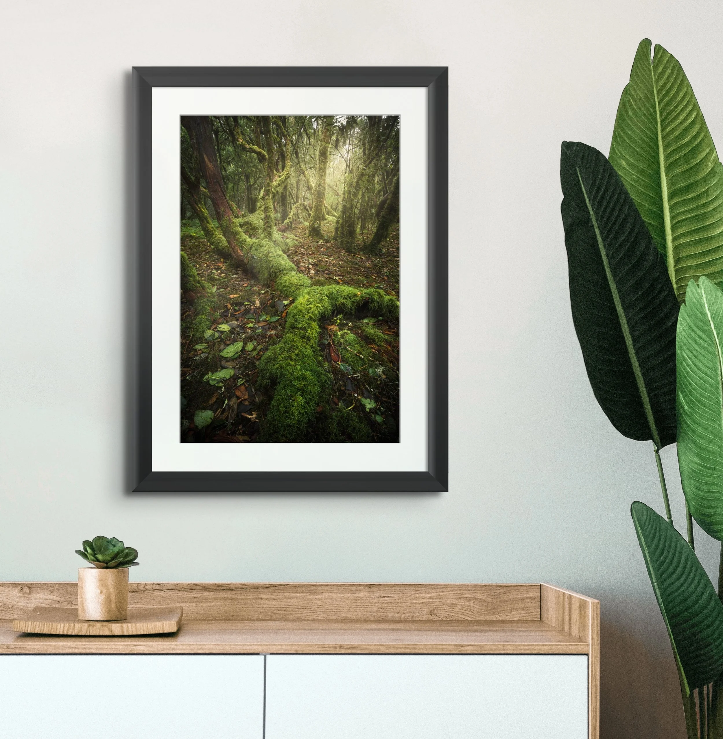 Natures Fall sito.jpeg