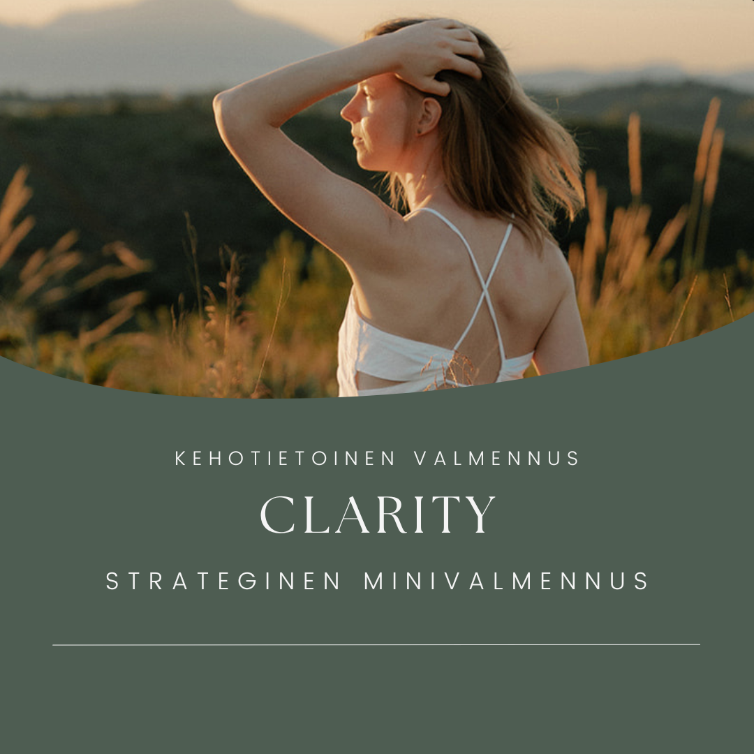 CLARITY - strateginen minivalmennus (120min + 2x30min)