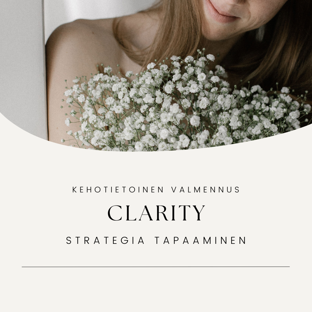 CLARITY - strategia tapaaminen (120min)