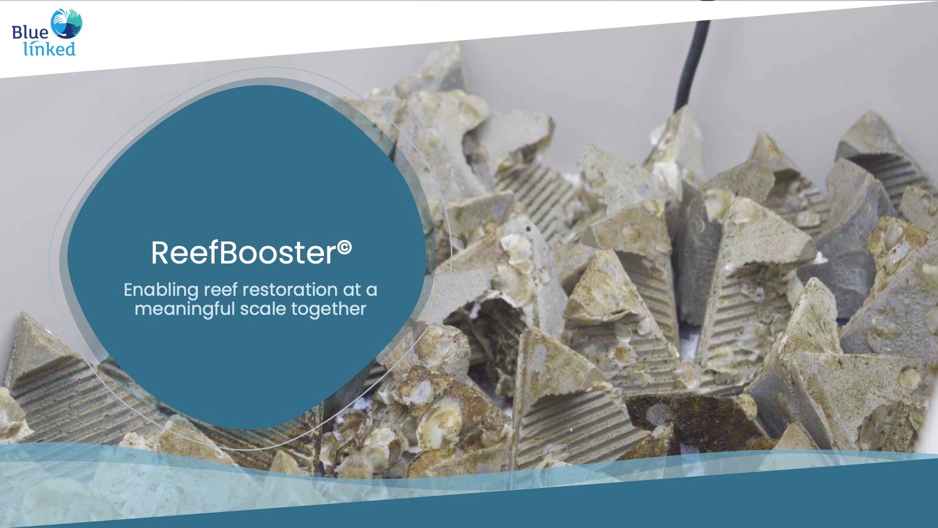 Boost je impact met ReefBooster.jpg