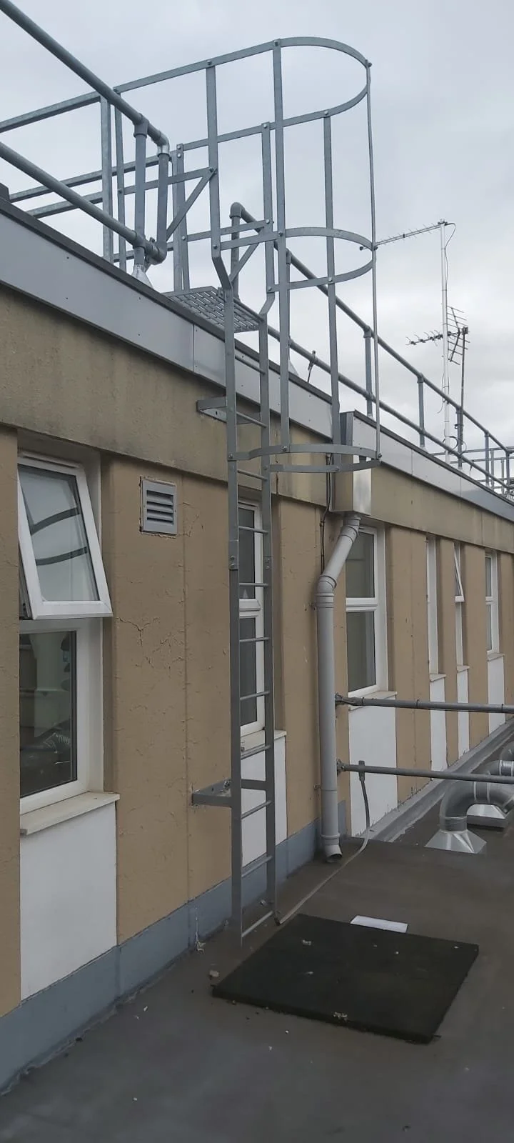 WhatsApp Image 2022-10-04 at 1.44.15 PM (3).jpeg