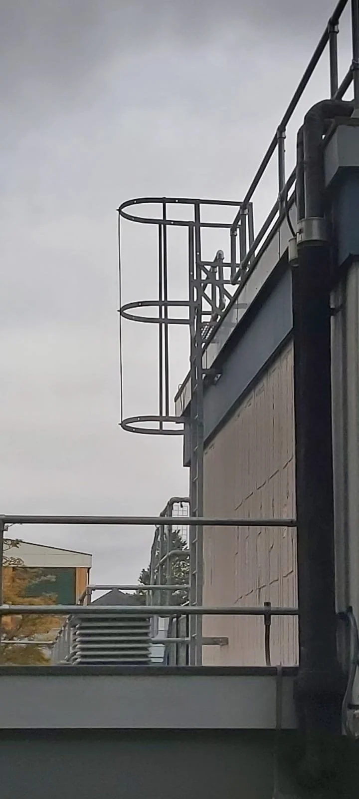 WhatsApp Image 2022-10-04 at 1.44.15 PM.jpeg