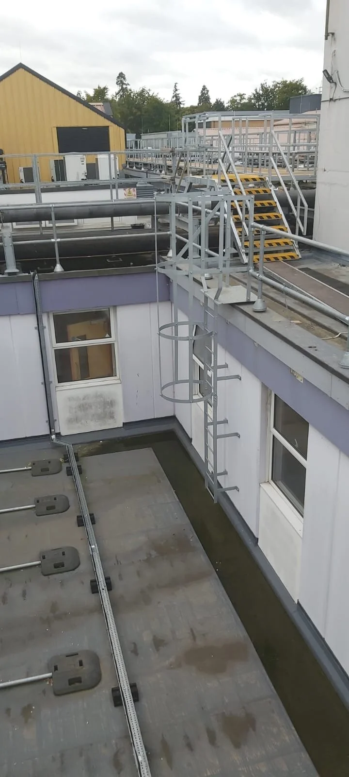 WhatsApp Image 2022-10-04 at 1.44.15 PM (1).jpeg