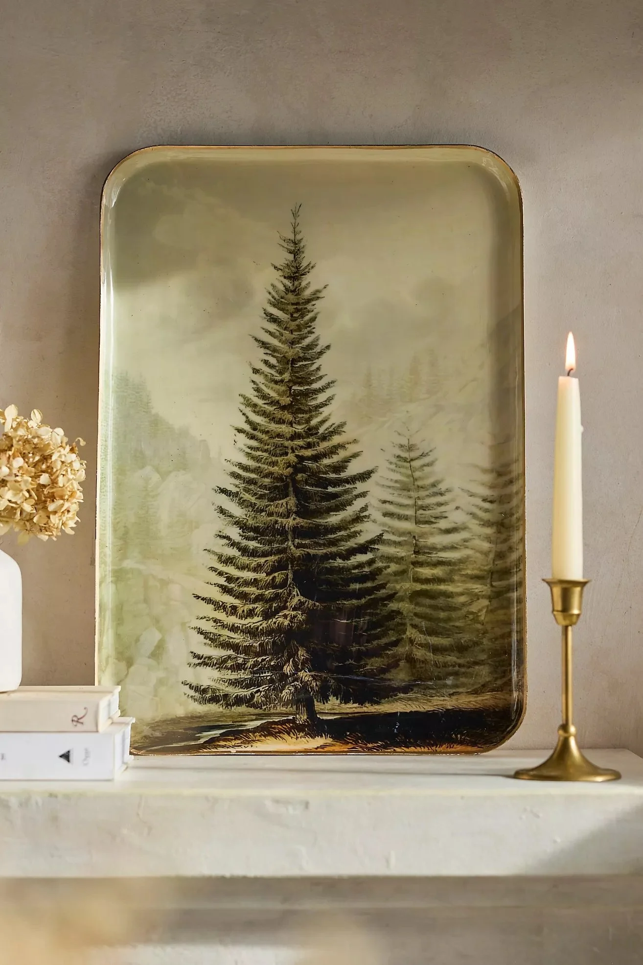 Printed Archival Tray in Moss