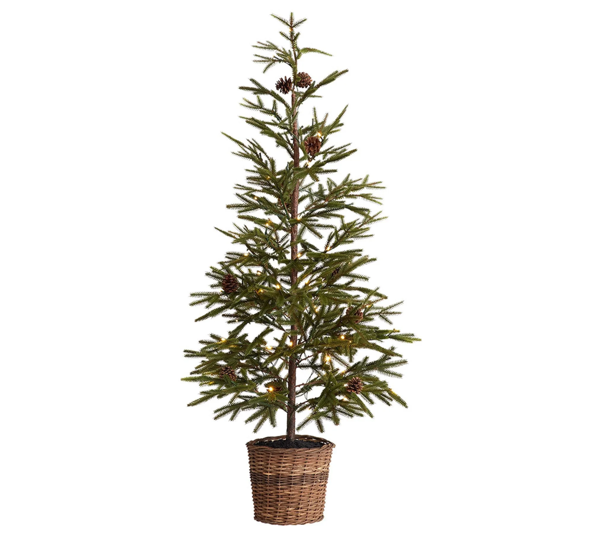 Lit Faux Pine Trees in Basket