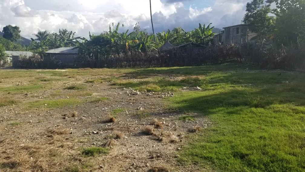 soccer field