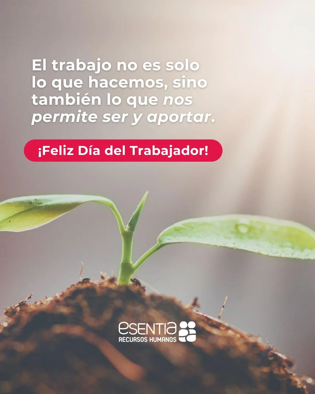 Hoy celebramos el #D&iacute;adelTrabajador poniendo en valor algo esencial: el trabajo no es solo lo que hacemos, sino tambi&eacute;n lo que nos permite ser y aportar.

Cuando una persona encuentra sentido en lo que hace, no solo crece individualment