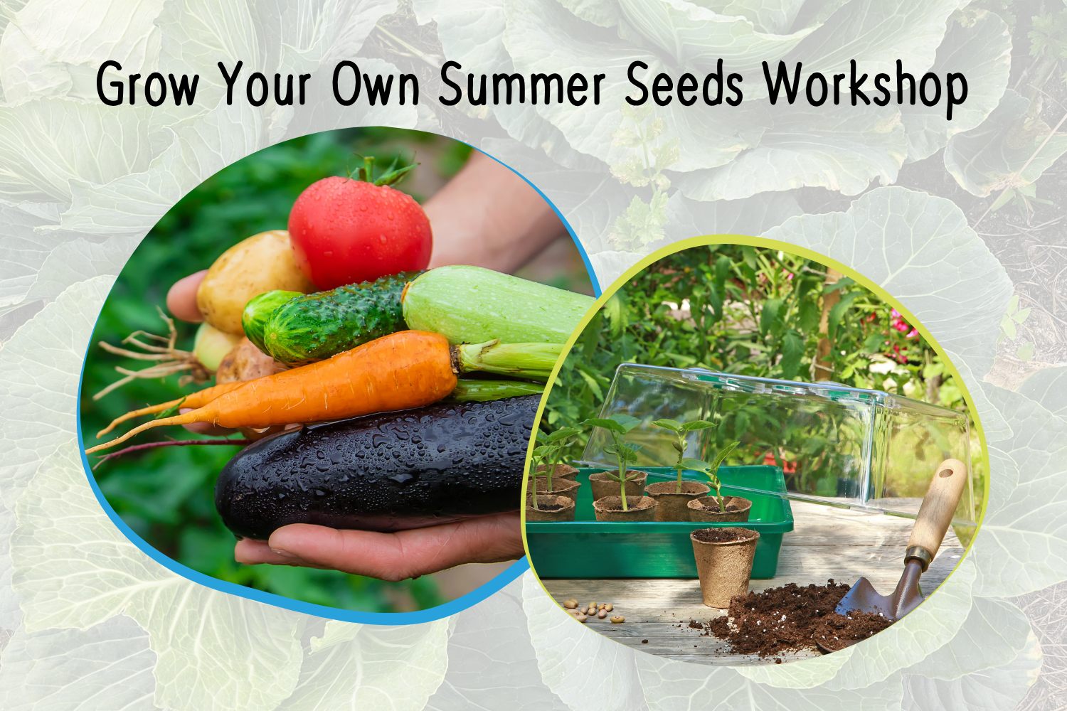 Grow Your Own Summer Seeds Workshop (Adults)