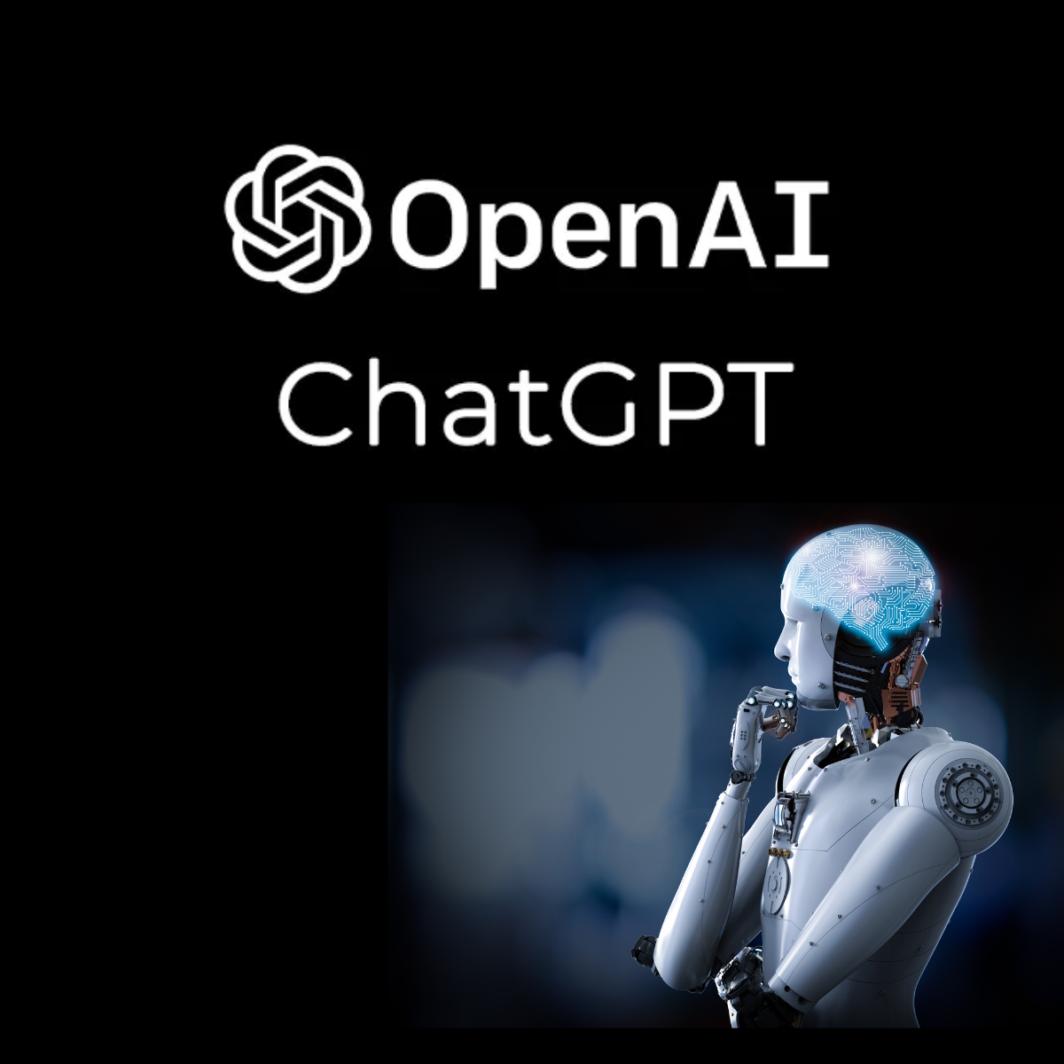 ChatGPT (Open AI)