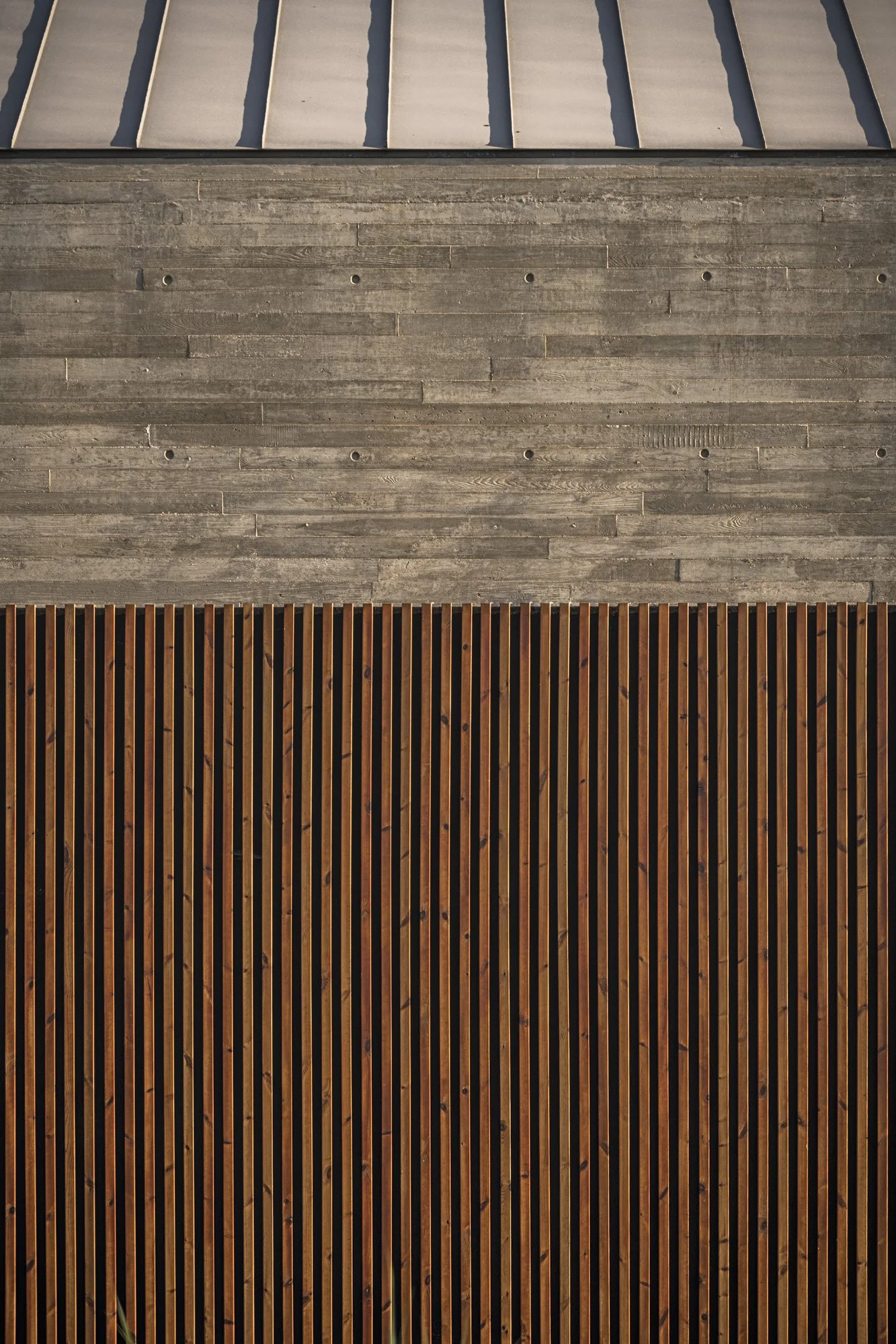 _D855403.JPG