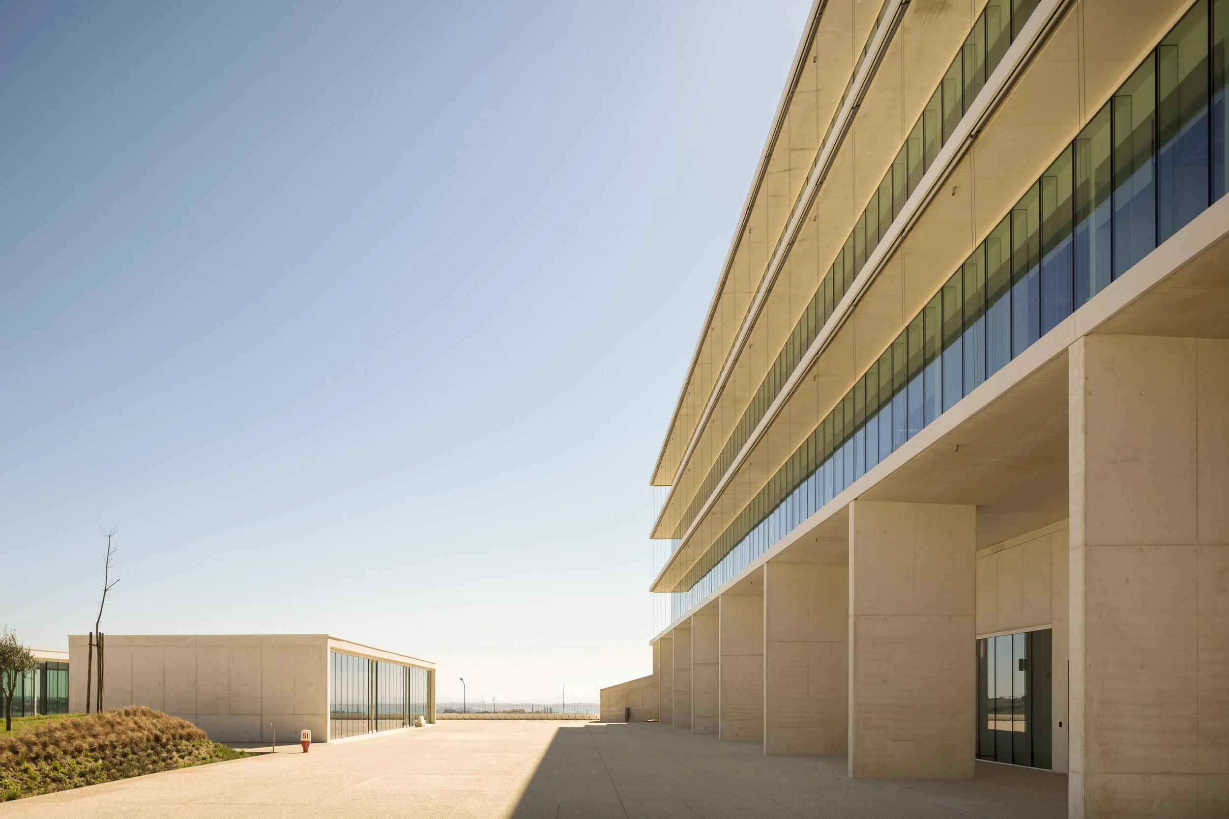 NOVARTIS 00_rosto.JPG