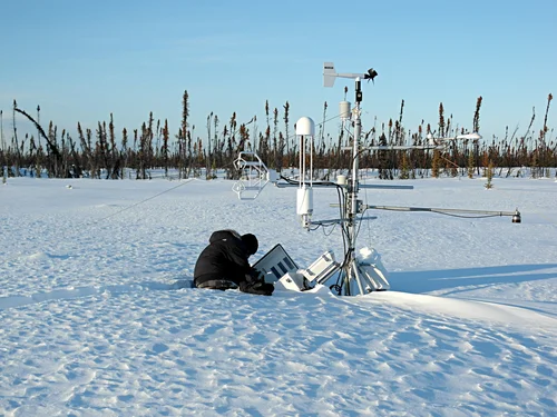 Scotty Creek Research Station, 2023