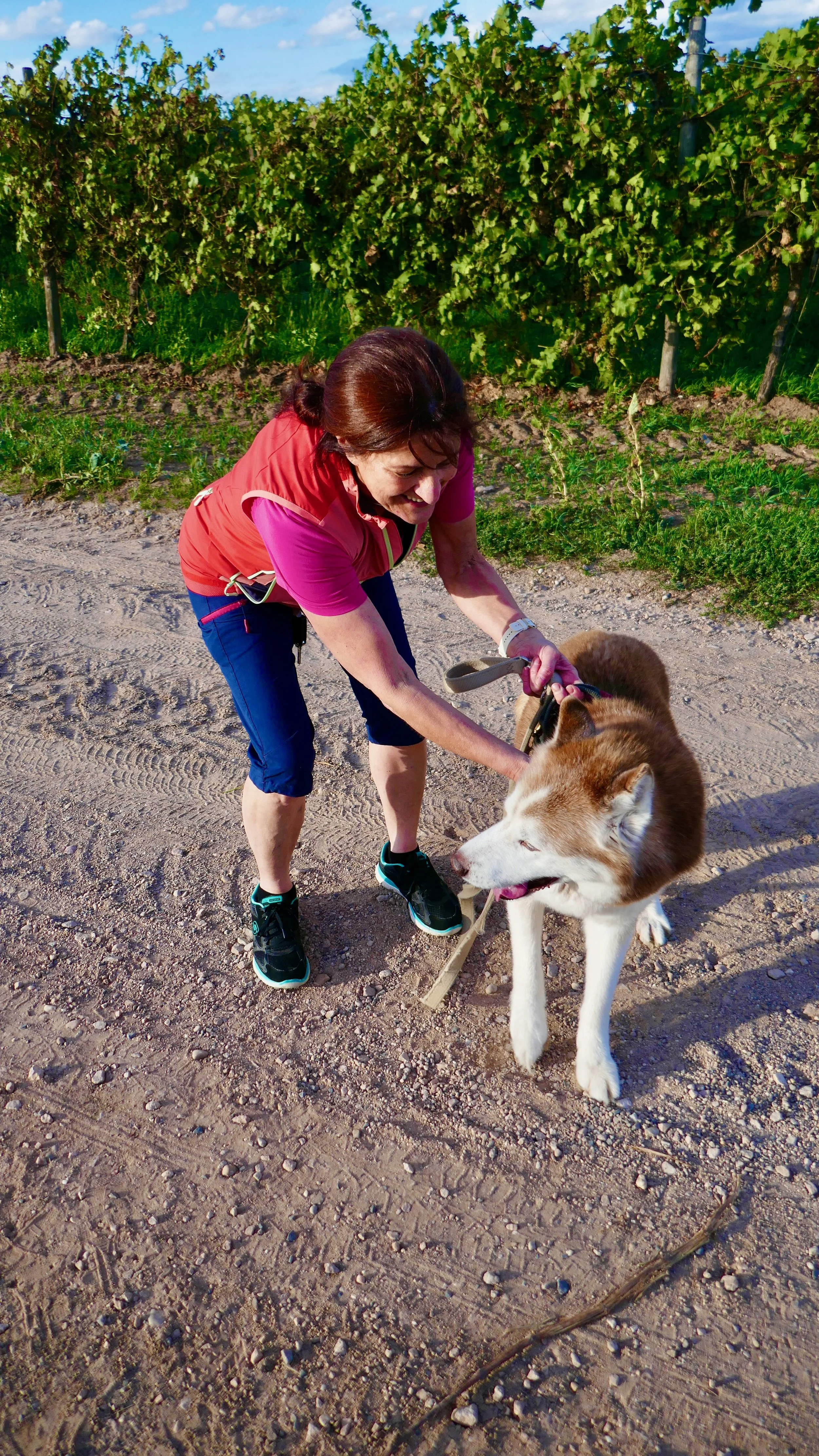 Ledd og bevegelighet – Naturlig hjelp ved stive eller aldrende ledd; ideelt for aktive raser.