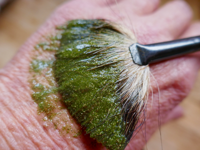 En plantebasert ansiktsmaske laget av villhøstede urter fra Arktis