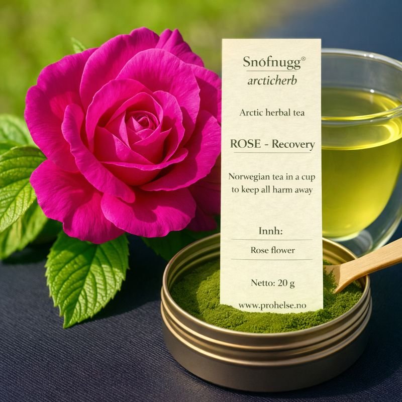 ROSE arctic herbal tea made from rose petals Rosa × damascena, finely ground in glass jar