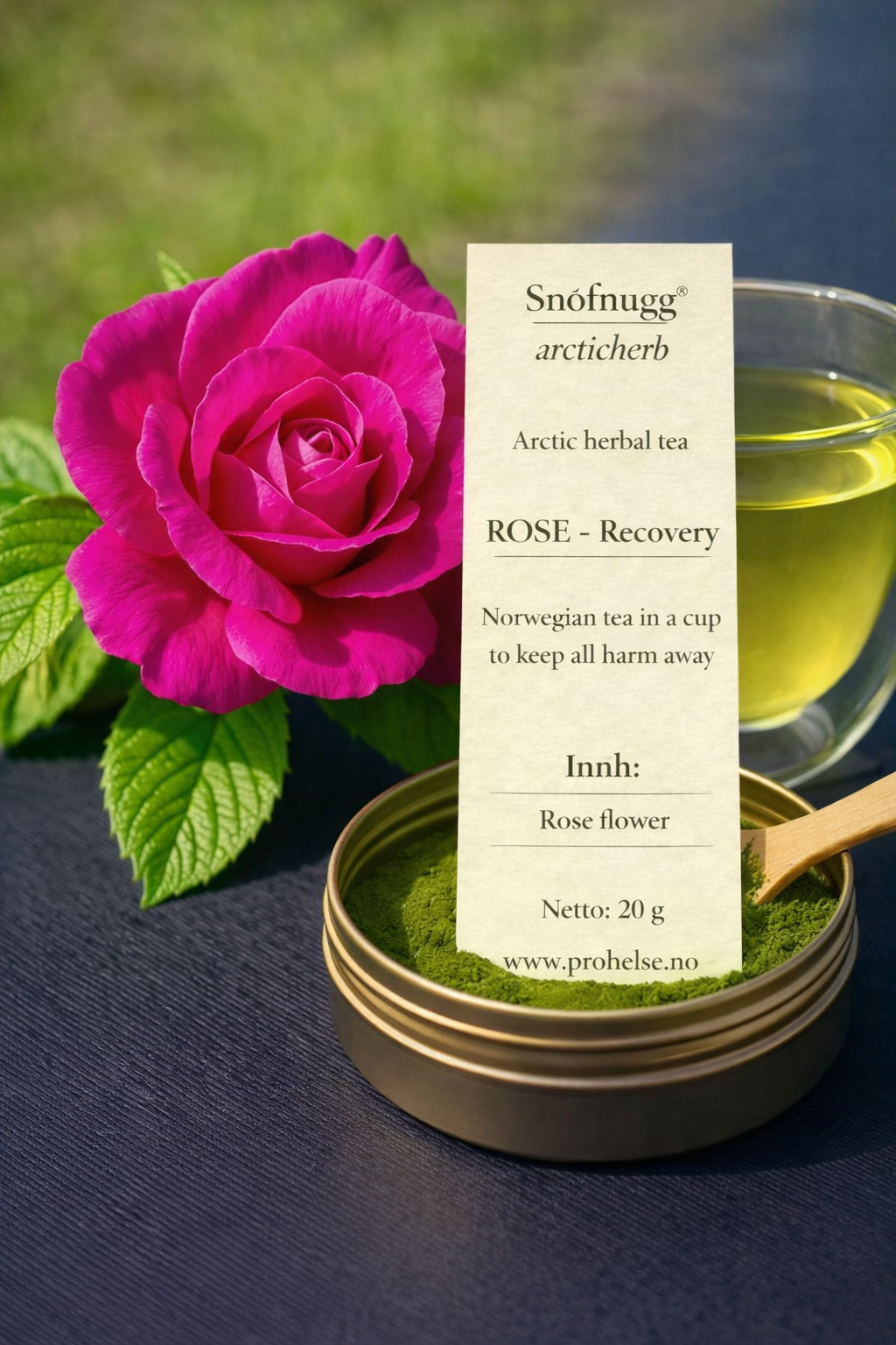 FORMAT 30x40 Rose .png