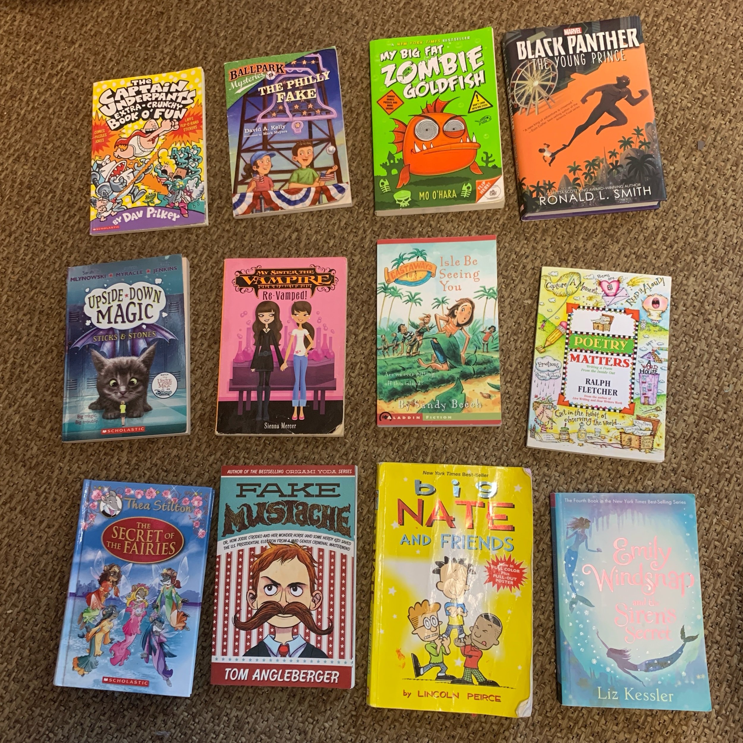 Assorted Chapter Books