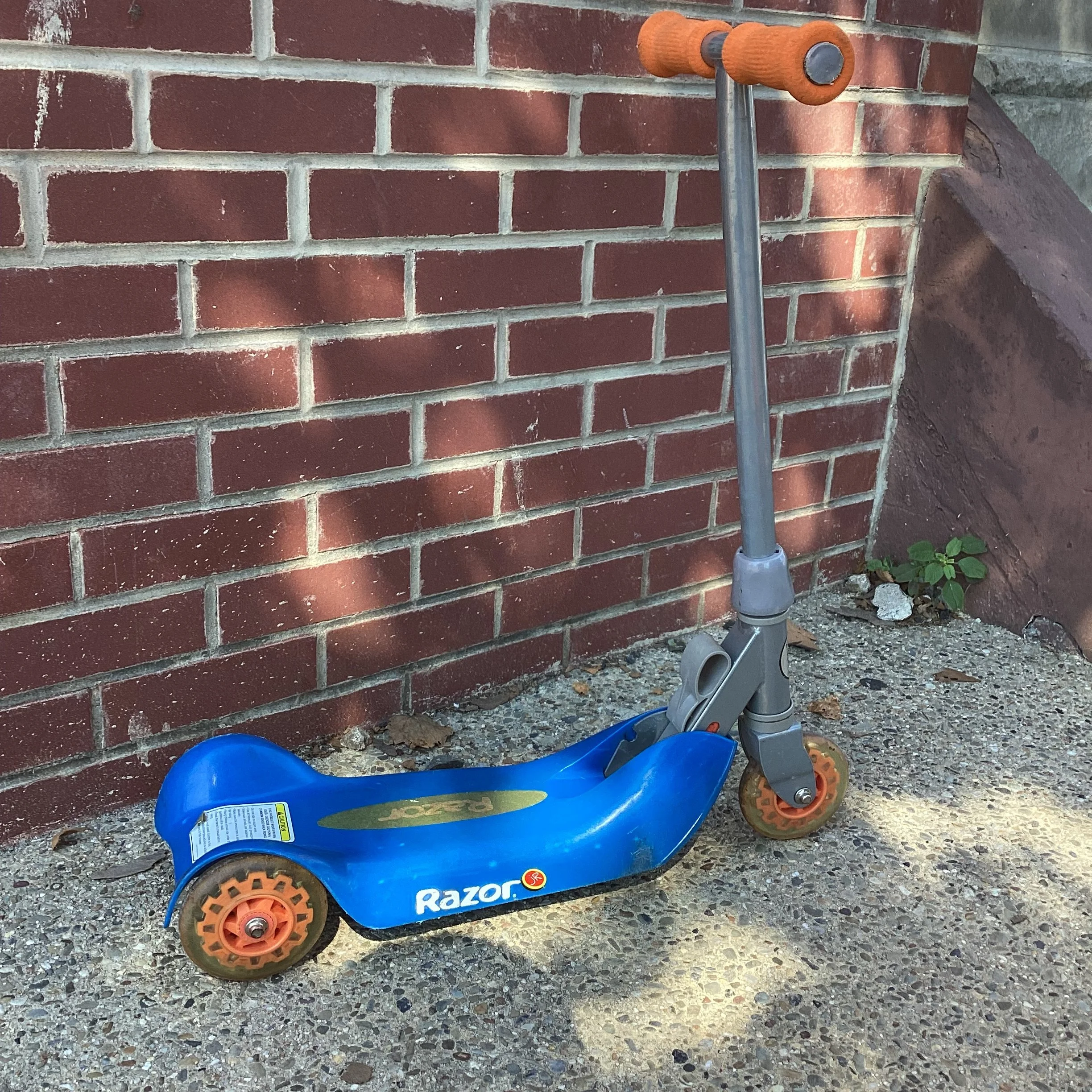 IMG_3783.jpeg