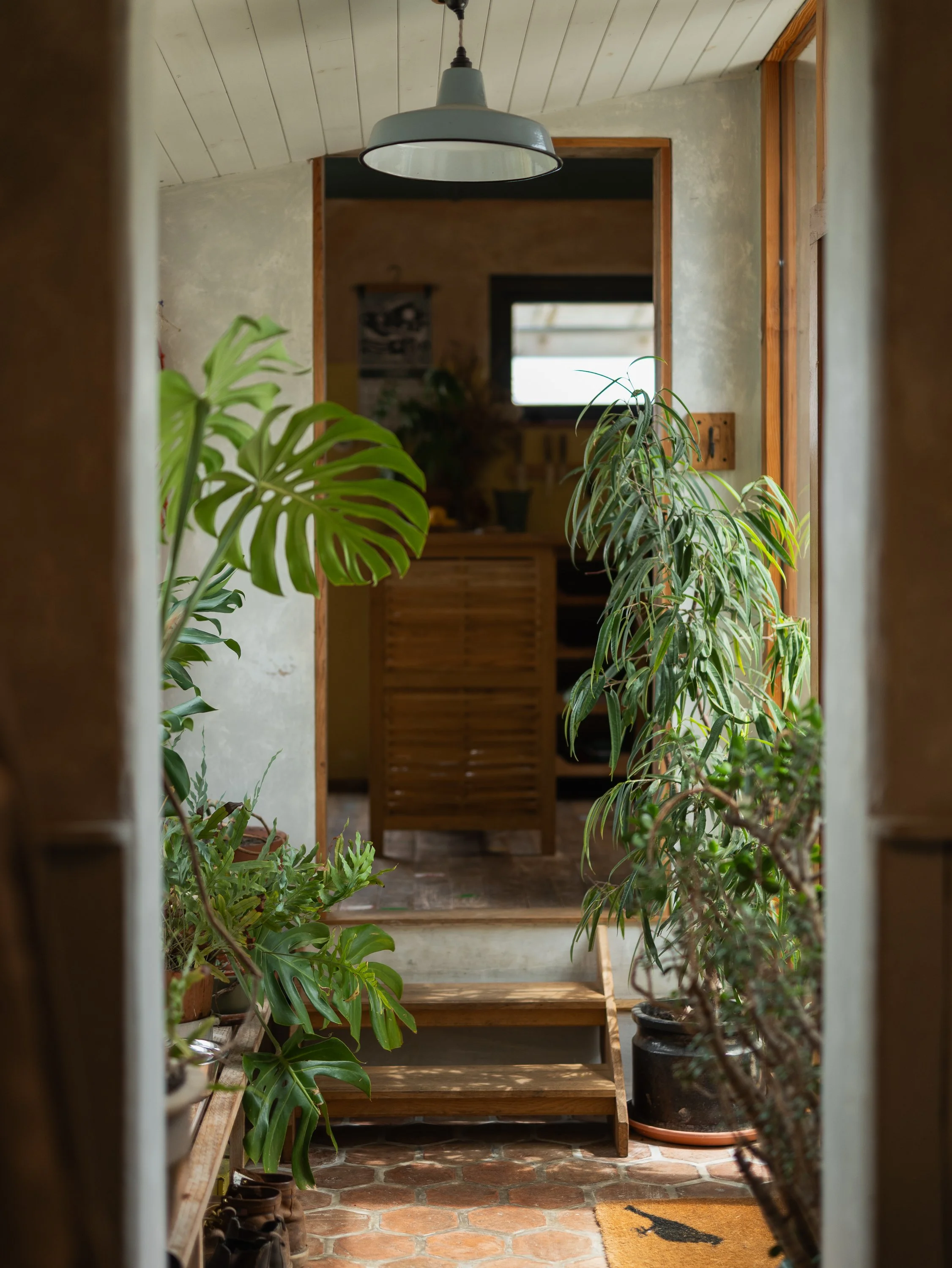 link to kitchen.jpg
