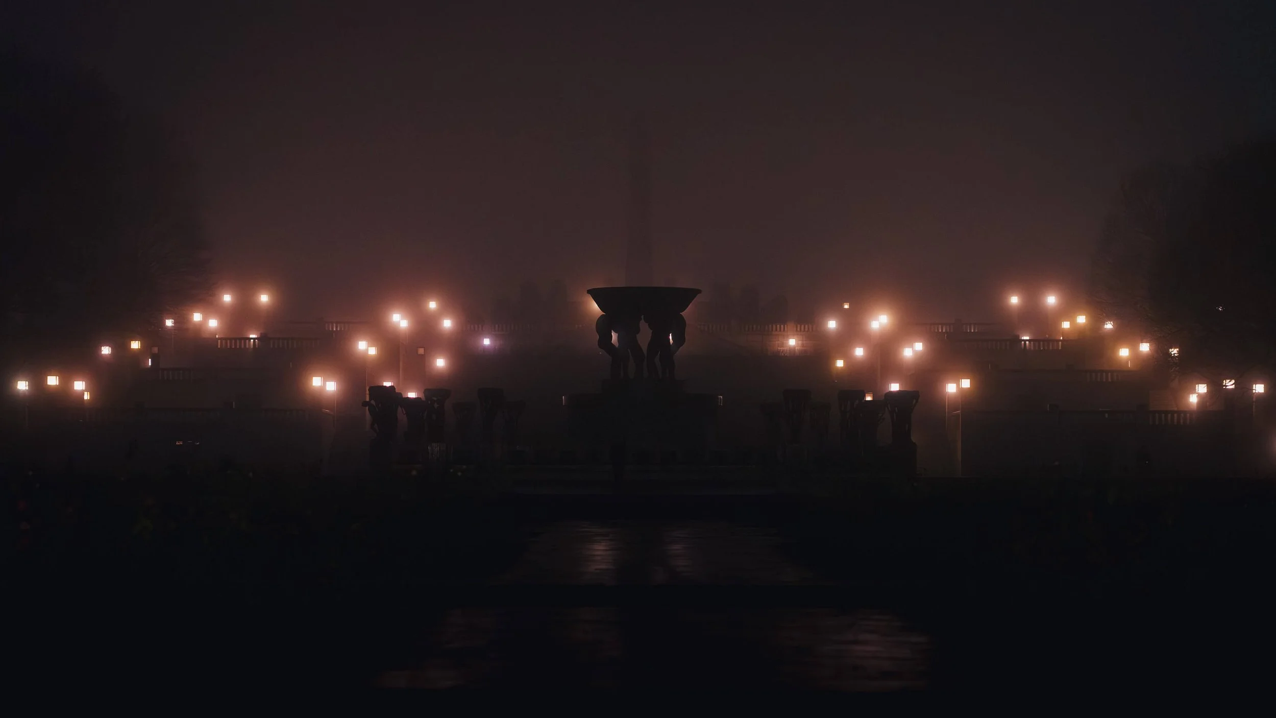 DSC02690-november 14, 2024-Enhanced-NR.jpg