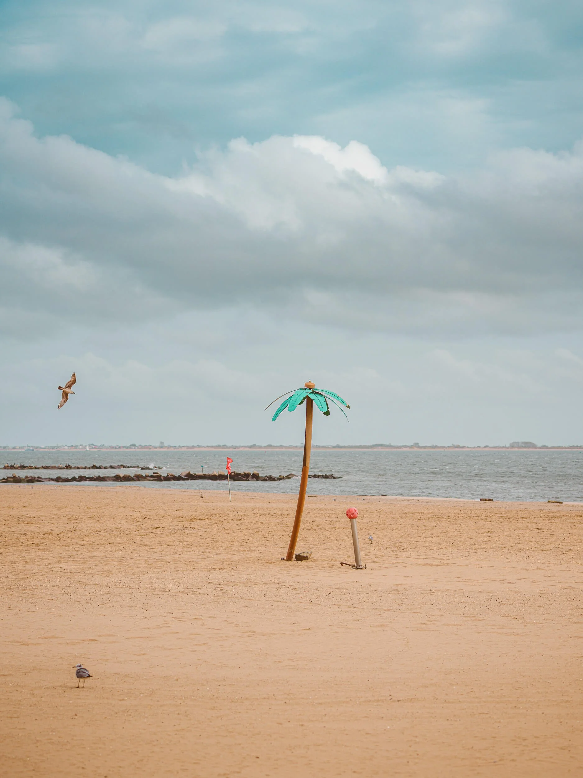 DSC08817-oktober 11, 2025.jpg