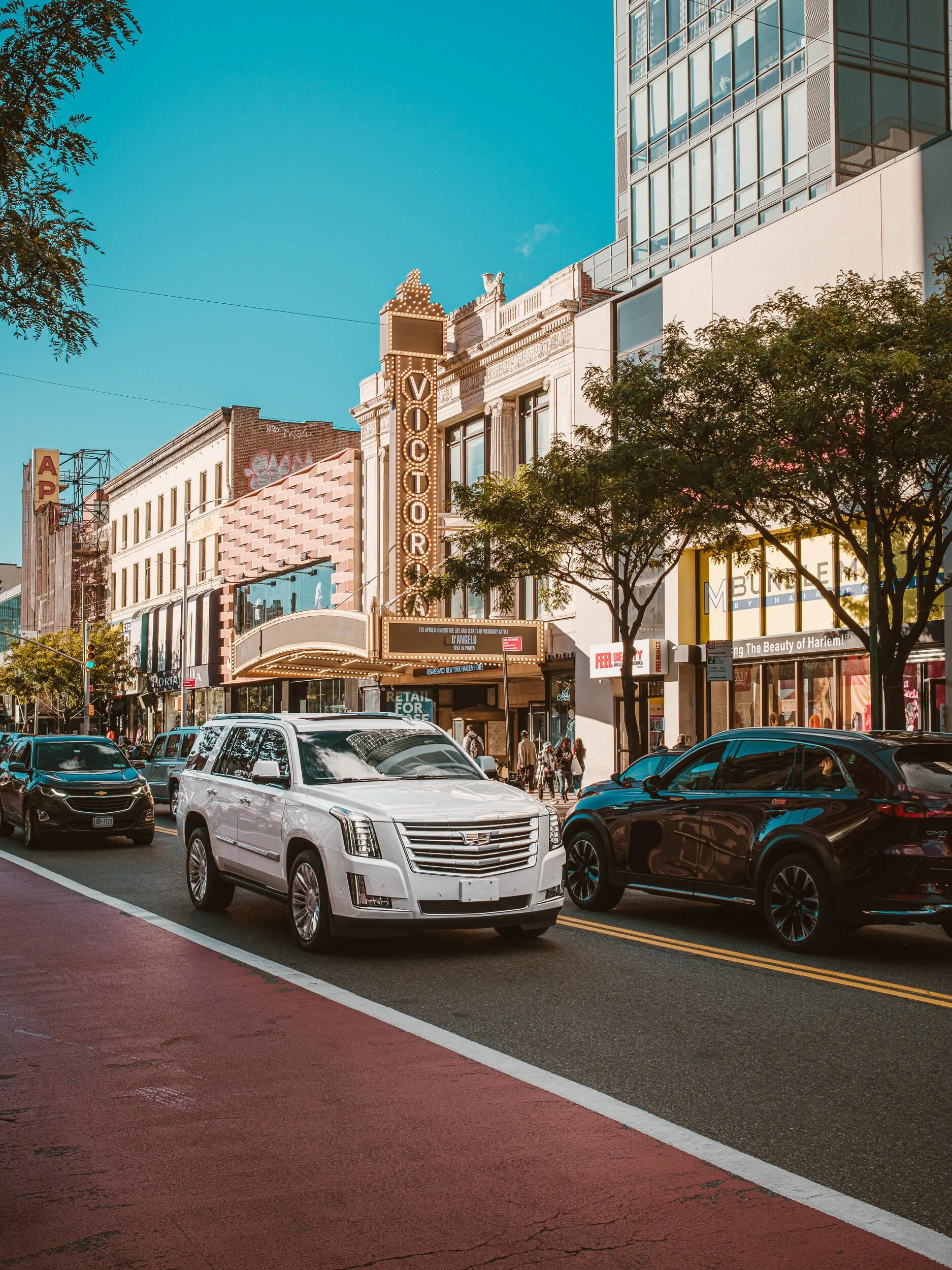 DSCF2560-oktober 15, 2025.jpg