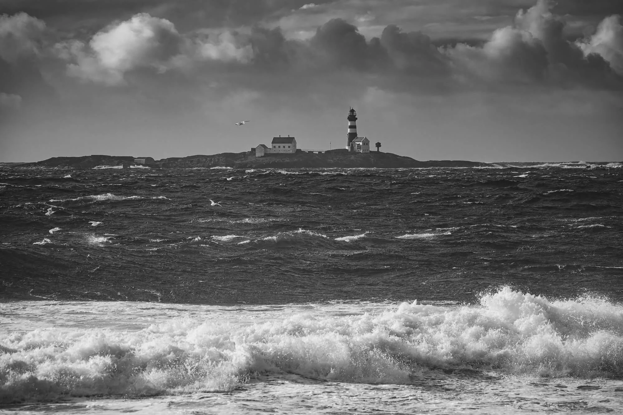 Feinstein light house