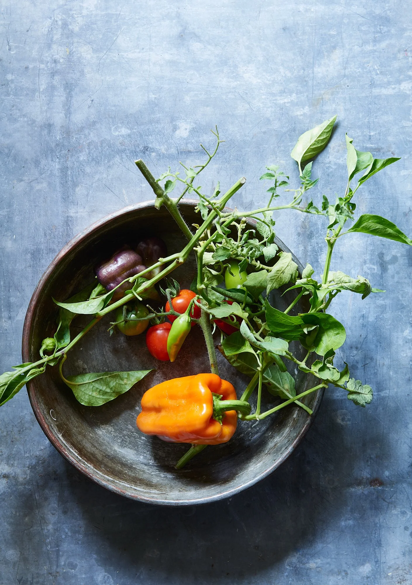 4_peppers_031_final.jpg