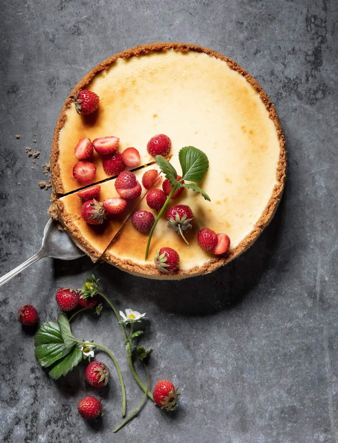 strawberry_cheesecake_028_FINAL.jpg
