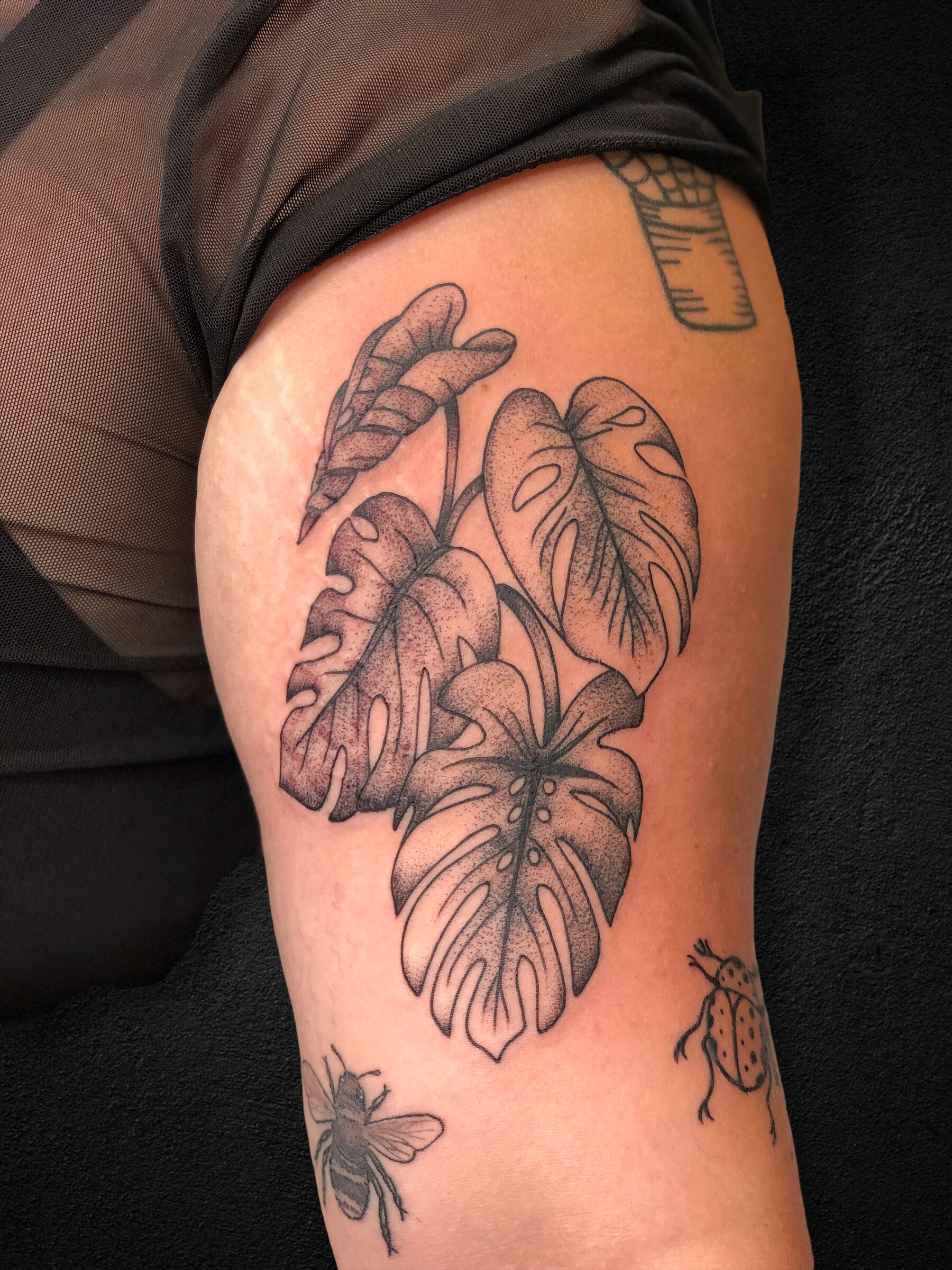 GOOD HAND TATTOO  Where our Plantmamas  papas at  Wed  love to tattoo your favorite houseplants  monstera  Olive done by  keanmendez   Facebook