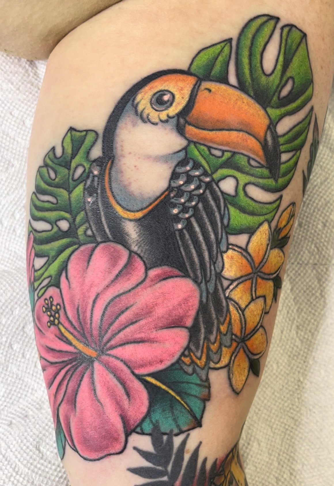 Toucan Tattoo