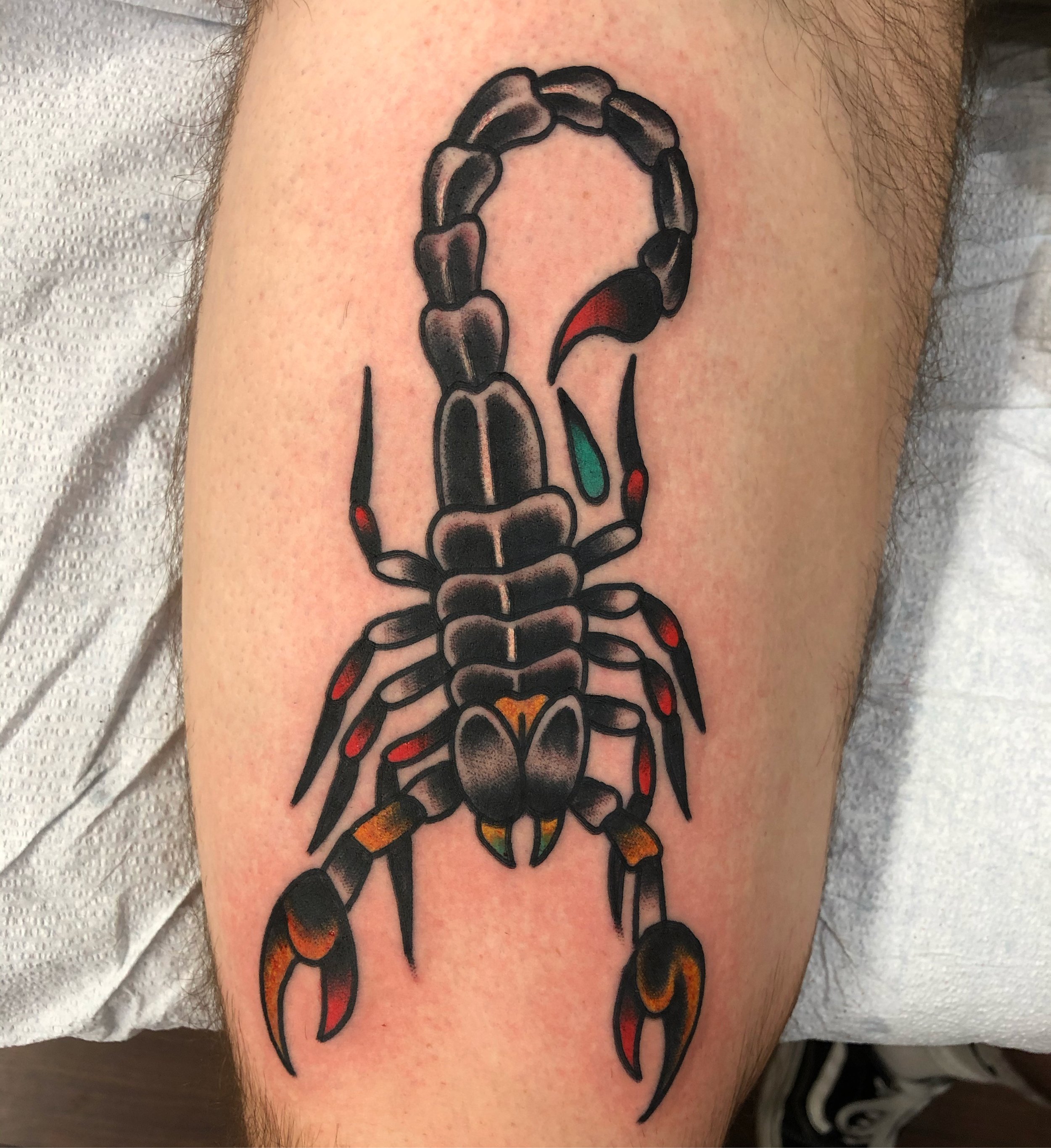 Scorpion 