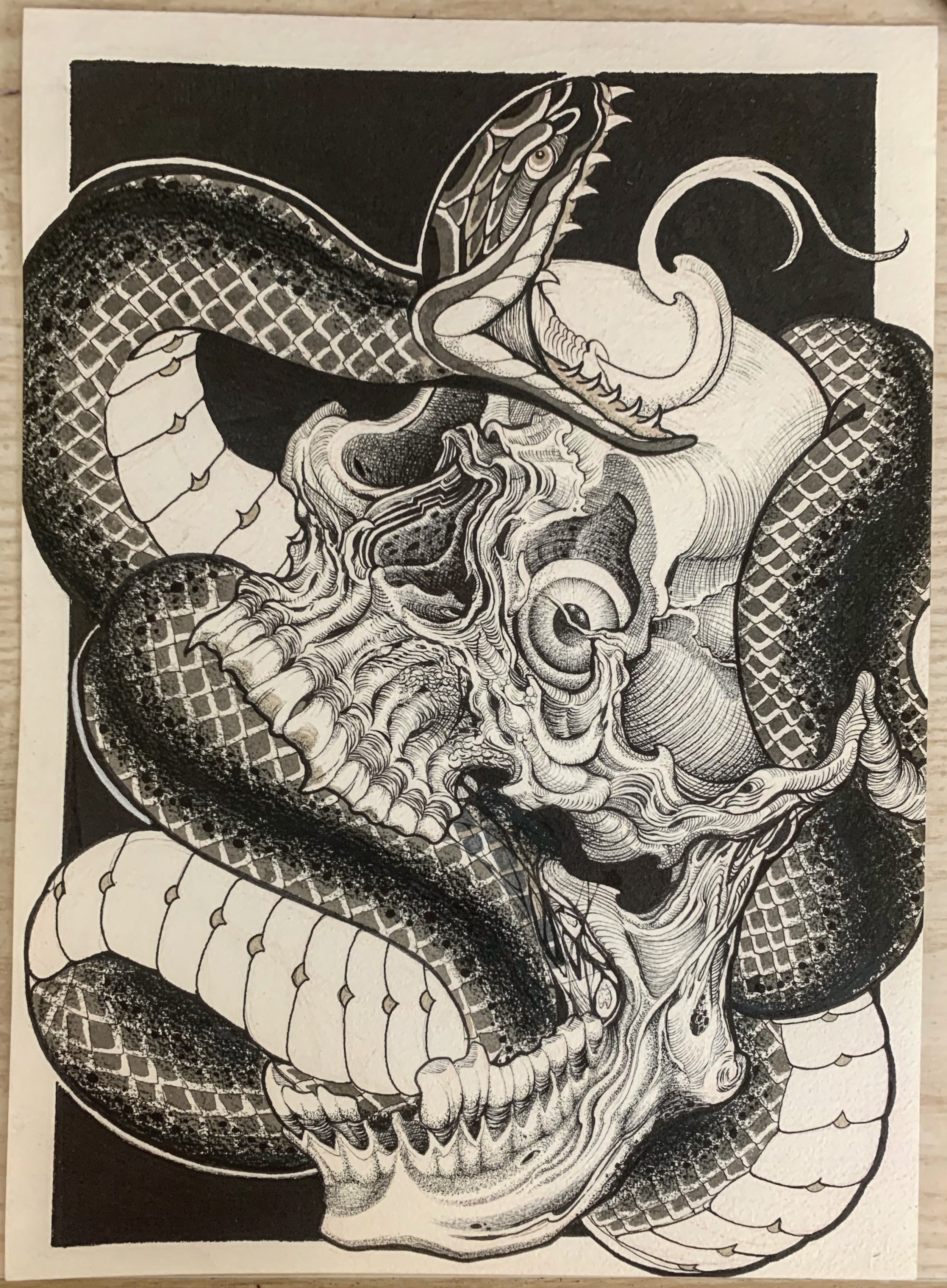 Snake and Skull Artwork