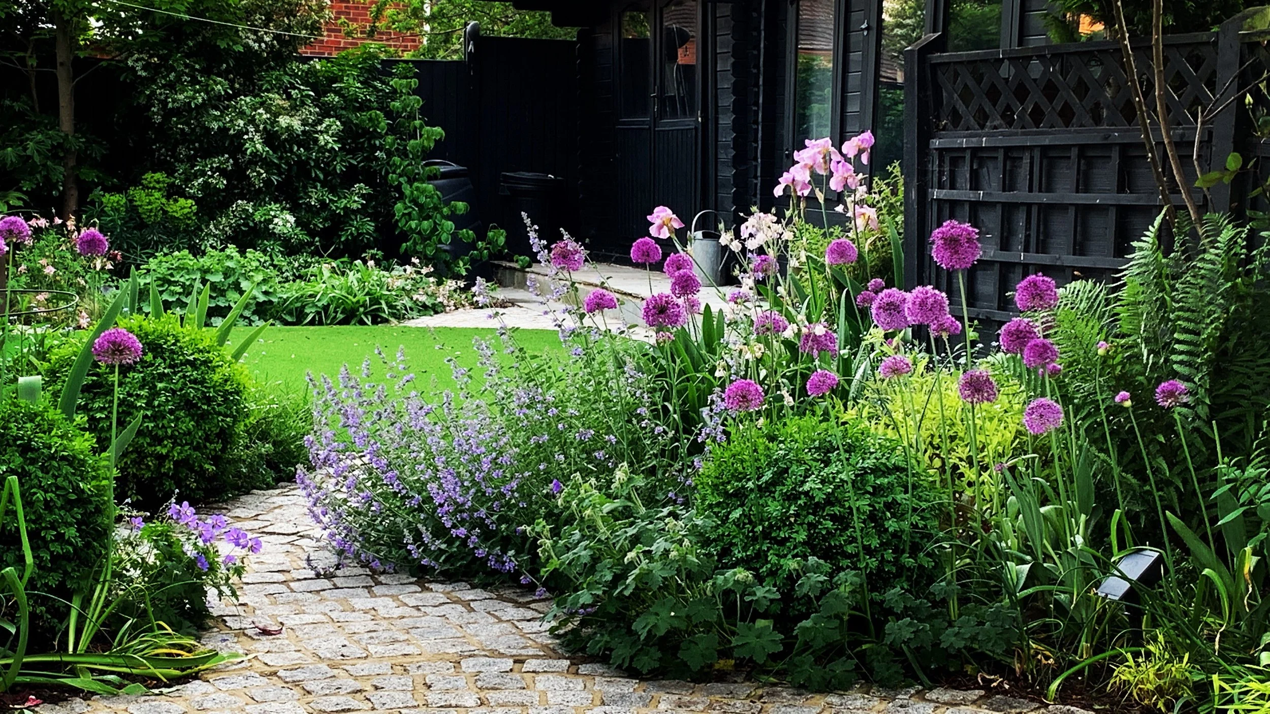 Alliums actual size.jpg