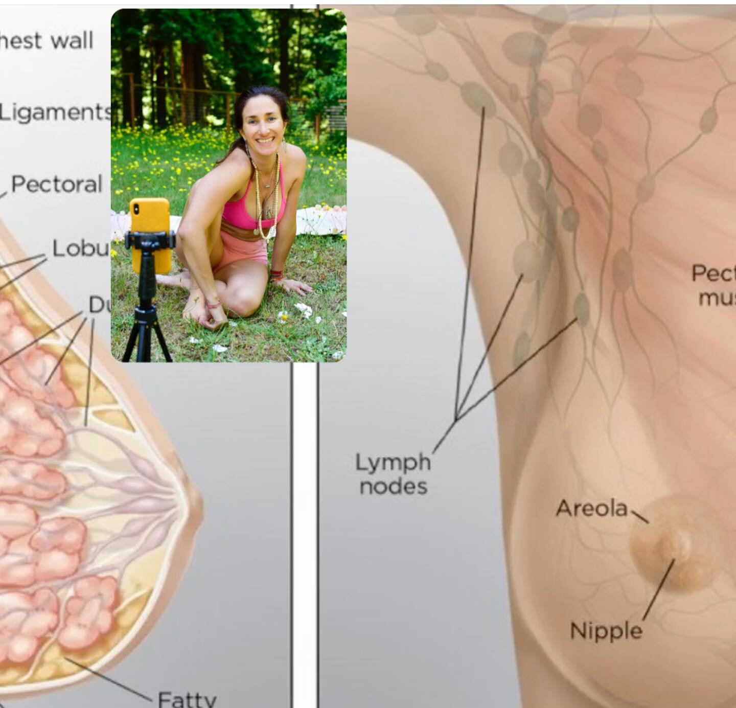 October is breast cancer awareness month and I am offering a workshop on #ayurveda #lymphatic health and breast health @steeps2sands on October 12
.
.
This workshop is ESSENTIAL for anyone with an immune system&hellip; all genders are welcome&hellip;