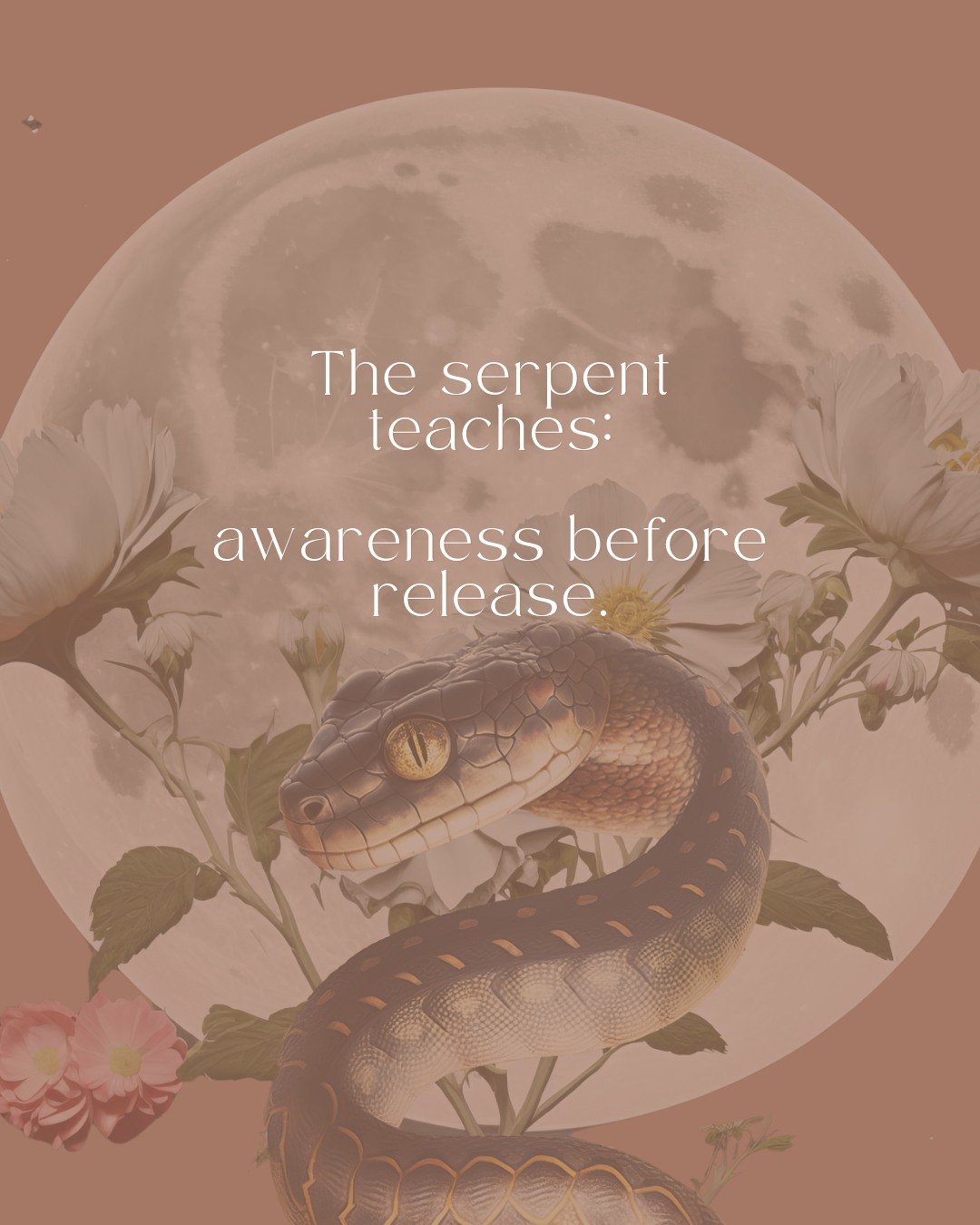 The Full Moon in Aśleṣā doesn&rsquo;t rush you into change. It teaches you how to see.

What you cling to. What clings to you. What once protected you, but no longer needs to.

This is the wisdom of the serpent: release doesn&rsquo;t come from force.