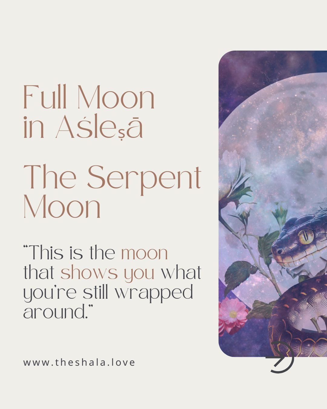 There are moons that feel comforting. And then there are moons that feel revealing.
The Full Moon in Aśleṣā is a truth-teller.

It shows us: where we&rsquo;ve bonded out of fear, where we&rsquo;ve stayed attached for safety, where our nervous system 