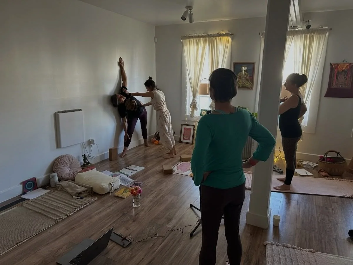 YTT 2025&ndash;2026 &middot; @theshalamendocino 

They came. They practiced. They transformed. 🌿

It is with so much reverence and joy that I welcome our newest Ayurvedic Yoga teachers into the lineage.

This cohort went deep &mdash; into the philos