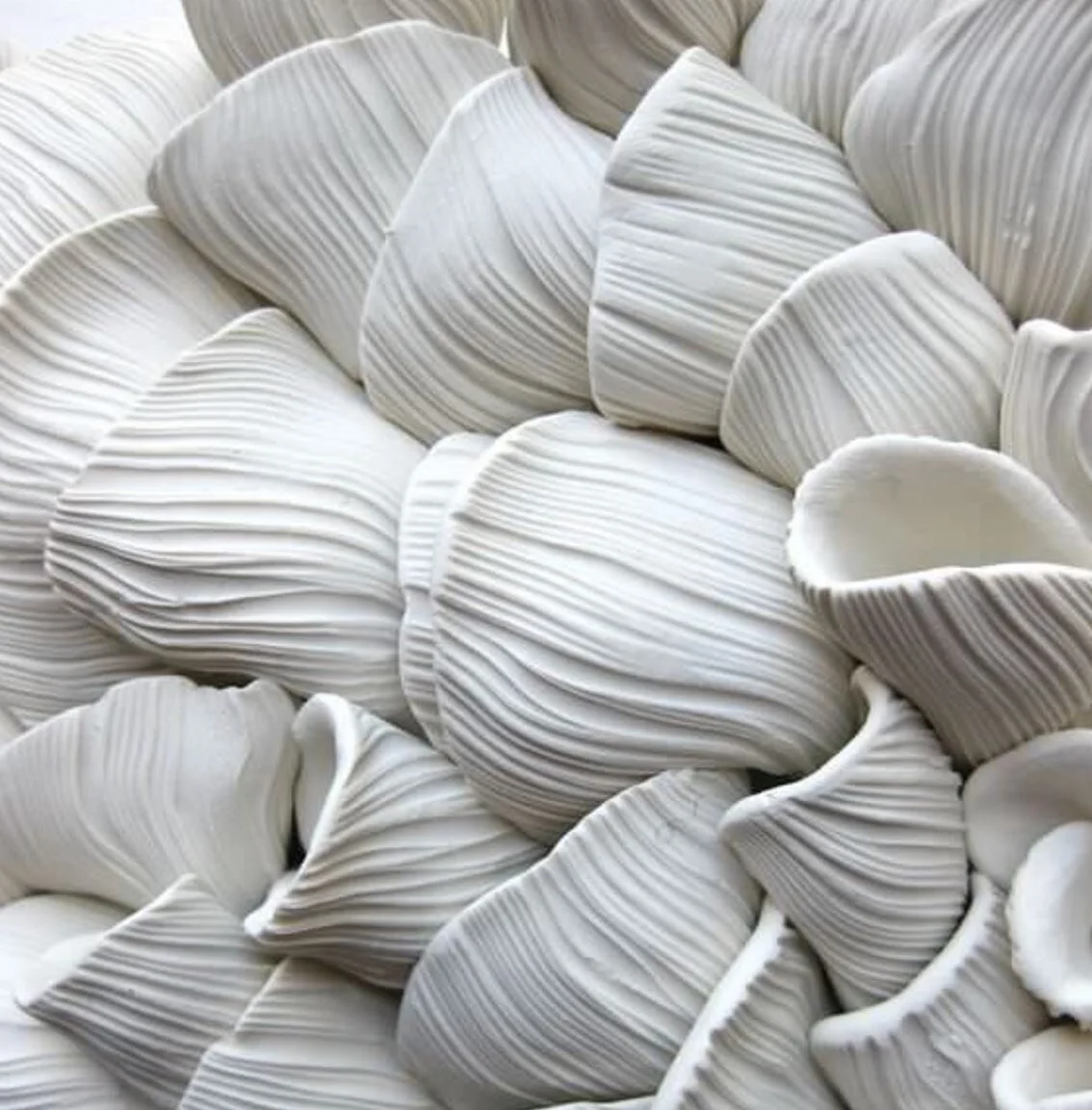 Porcelain Oyster Mushroom by Angela Schwer #angelaschwer 
-
-
-
-
#porcelain #art #homedecor #interiordesign #porcelainart