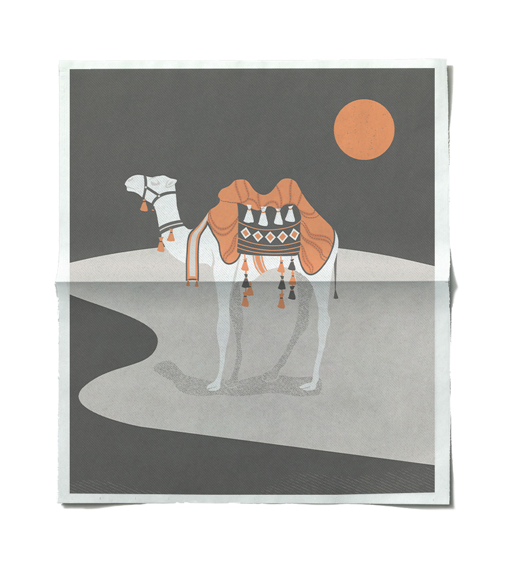 Camel-Mock_A.png