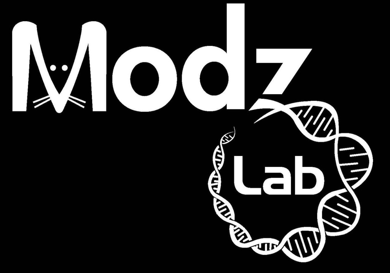The Modz Lab