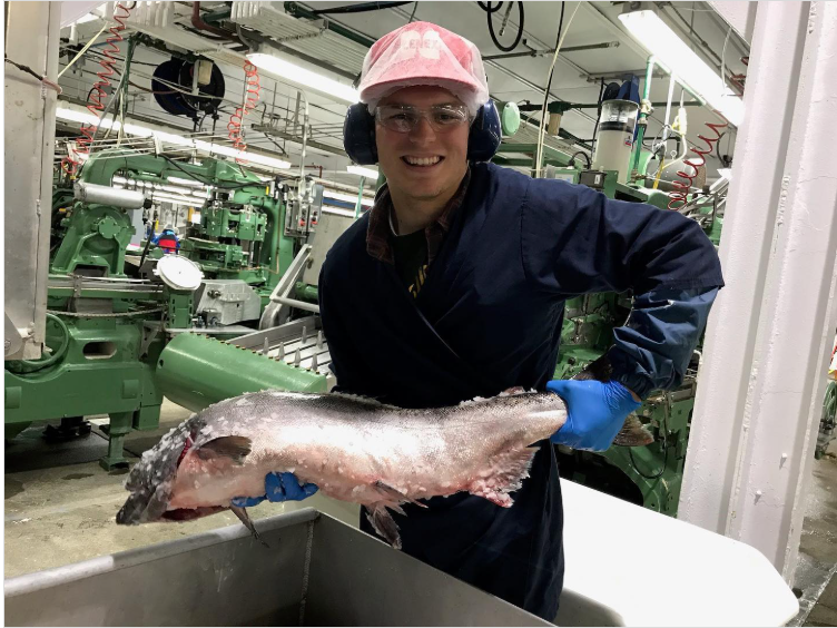 Team 1 — Alaska General Seafoods