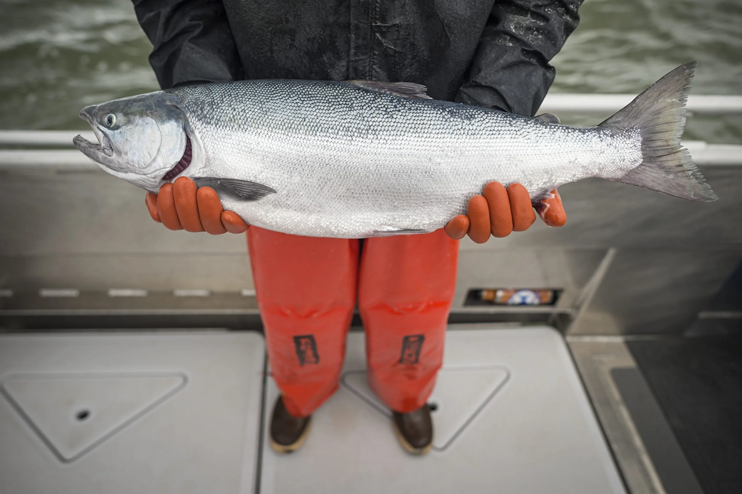 Alaska General Seafoods