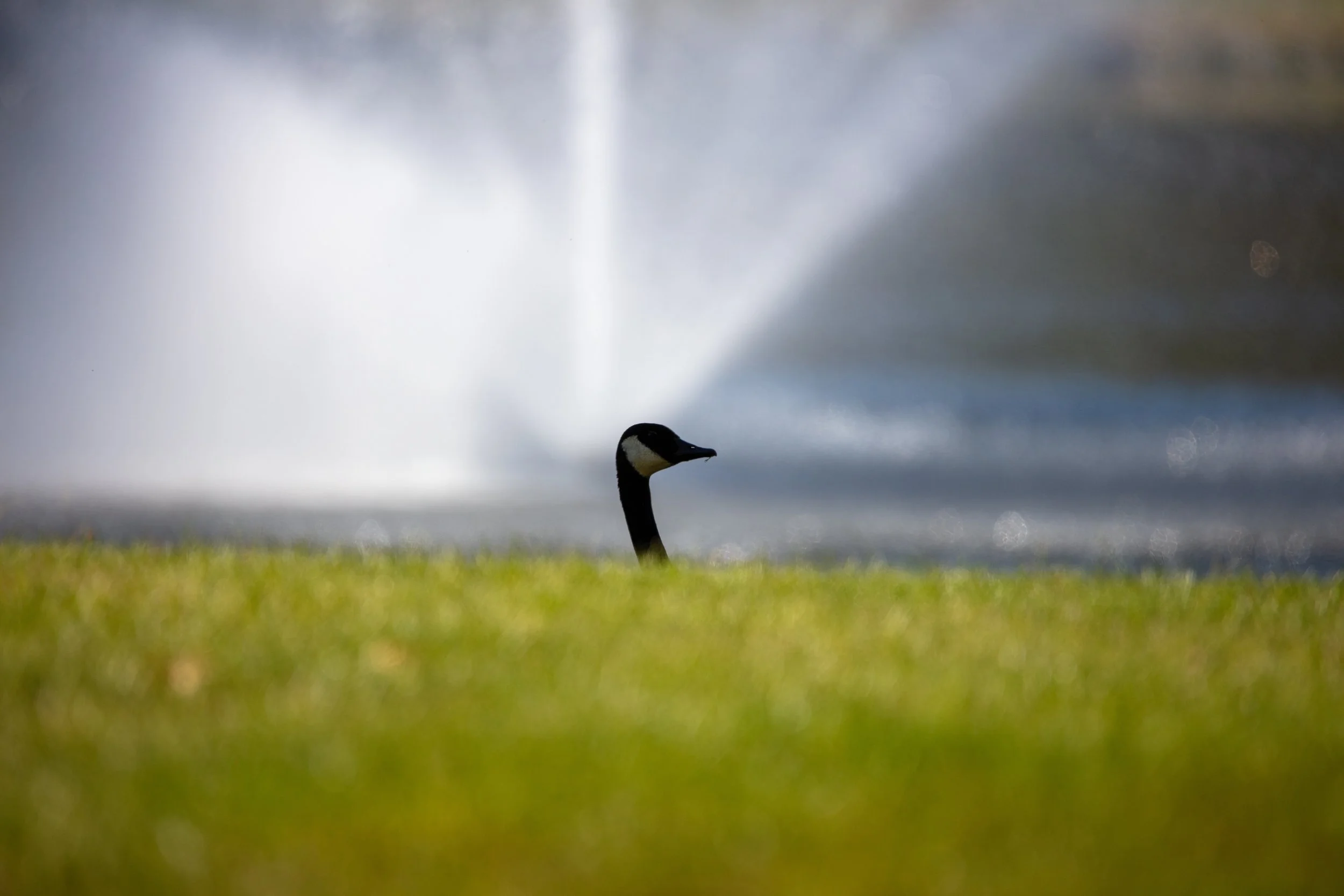 221001_Weekend with Megan-22.jpeg