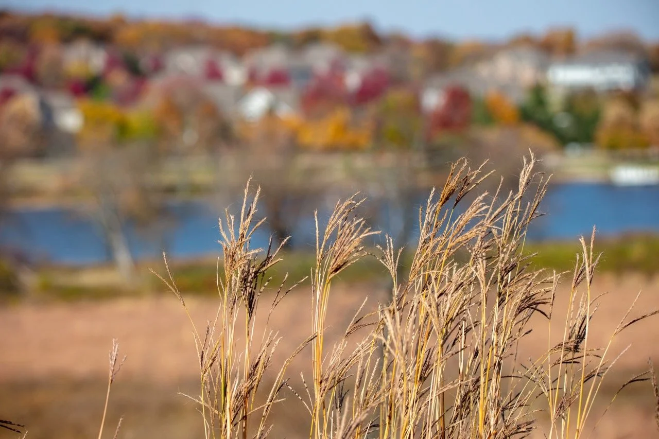 221023_Hikes with Megan-04 Large.jpeg
