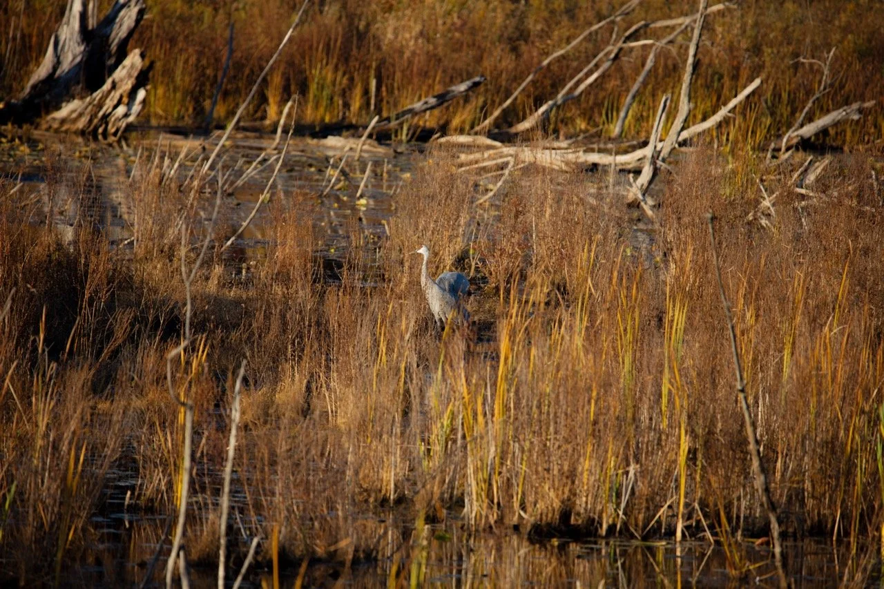 221023_Hikes with Megan-29 Large.jpeg