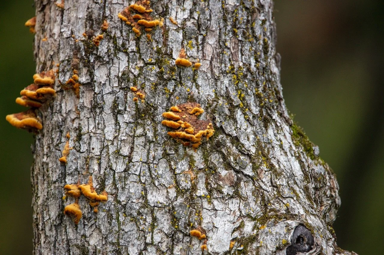 220826_Devils Lake-06 Large.jpeg