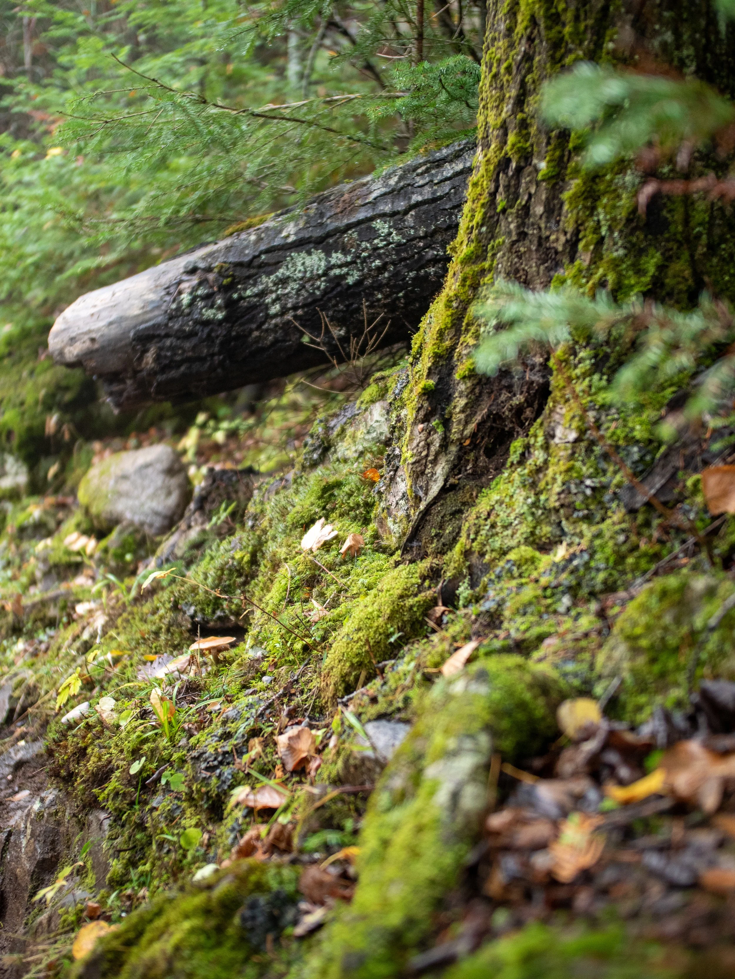 211008_Grand Marais Trip-124.jpg