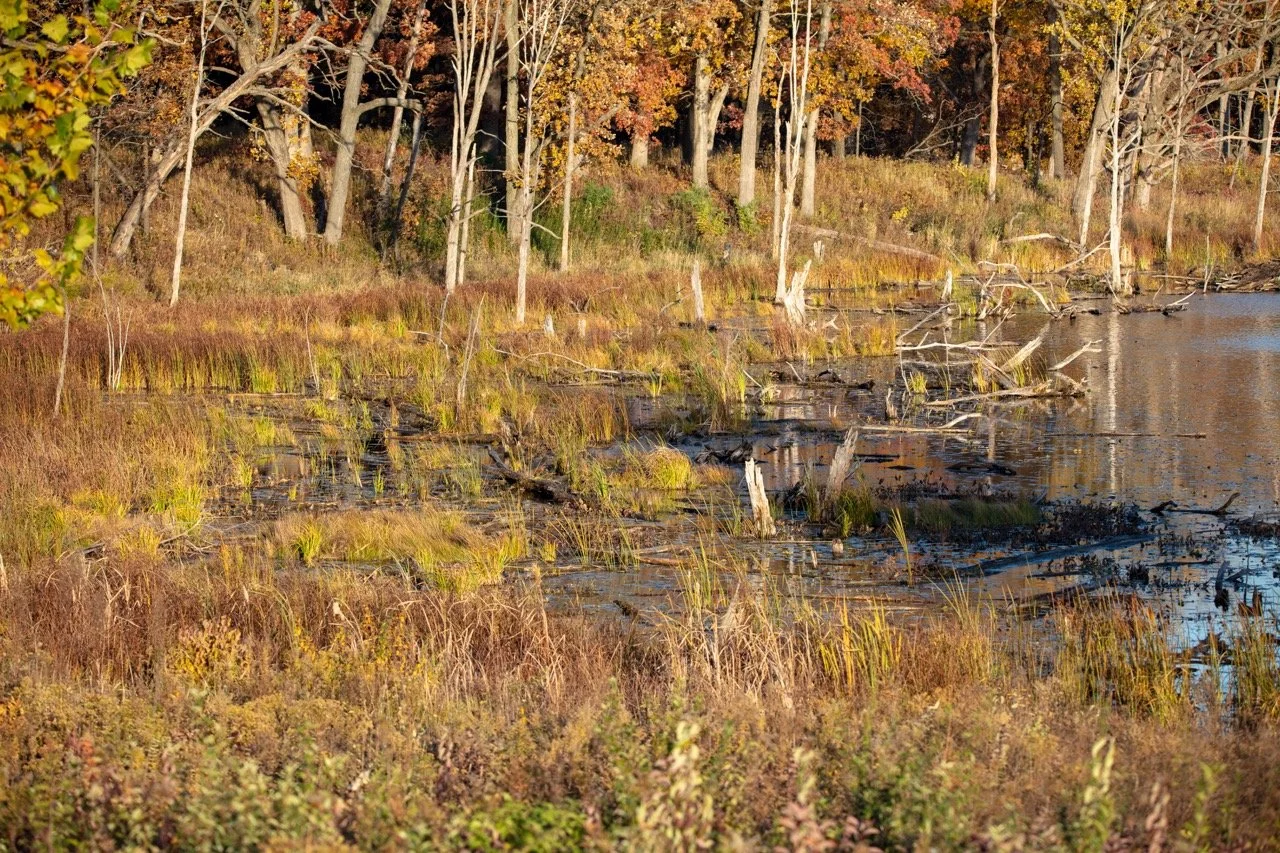 221023_Hikes with Megan-21 Large.jpeg